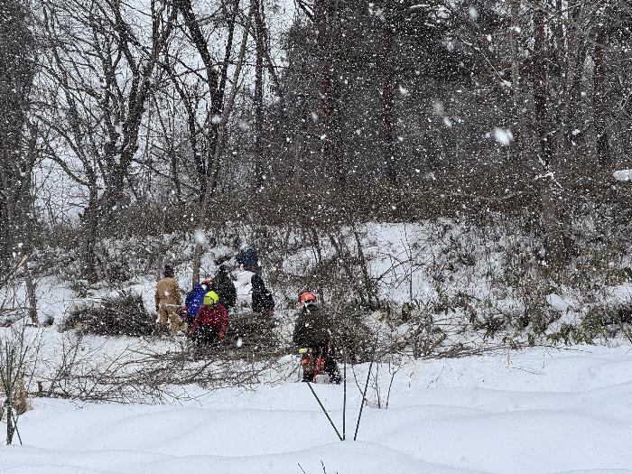 事業者による伐採作業