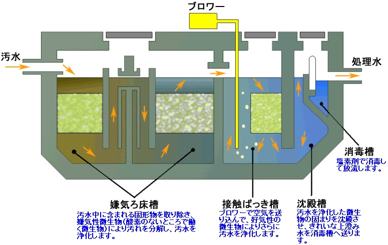 浄化槽の仕組みの図