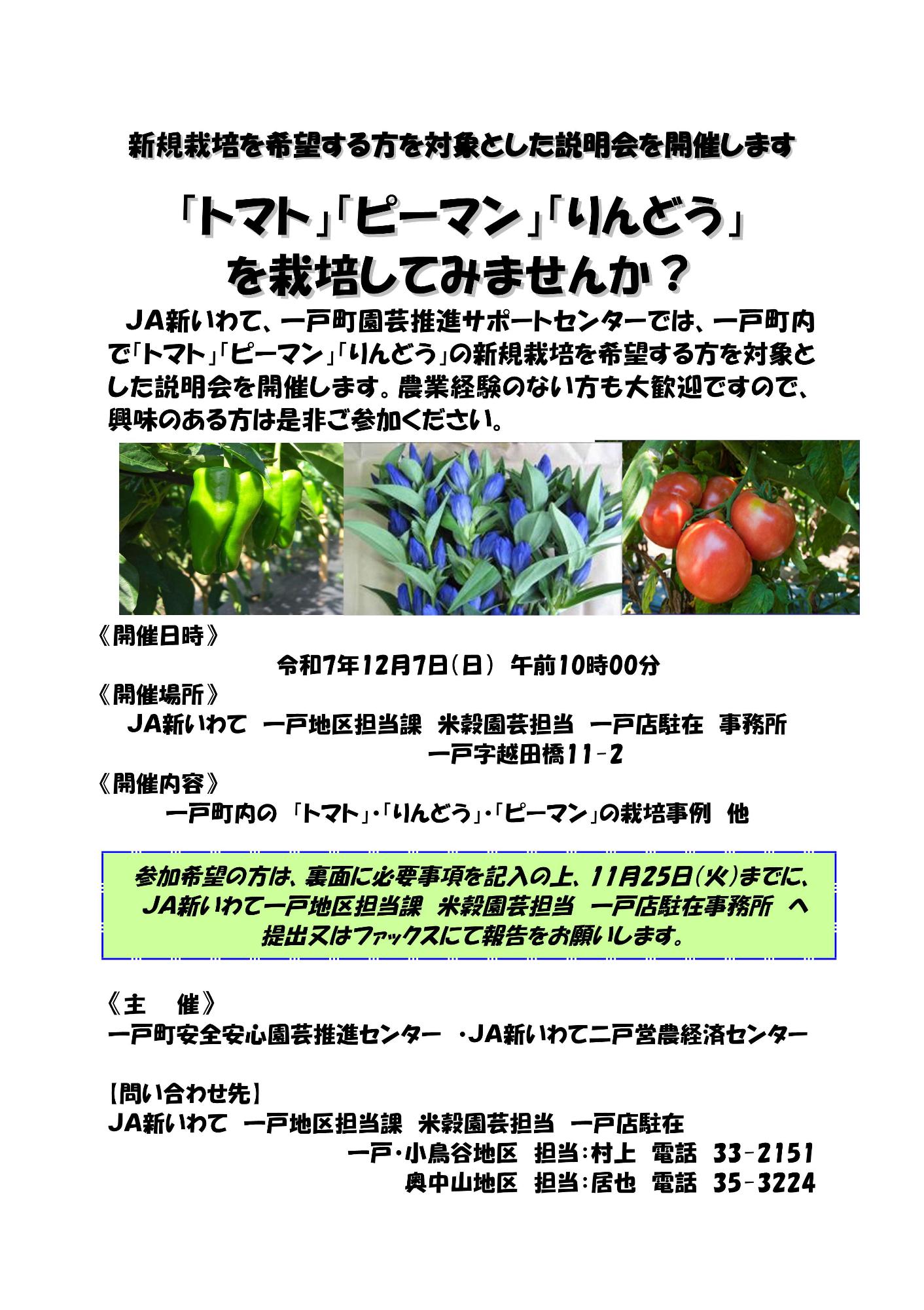 （イメージ）トマト・ピーマン・りんどうを栽培してみませんか