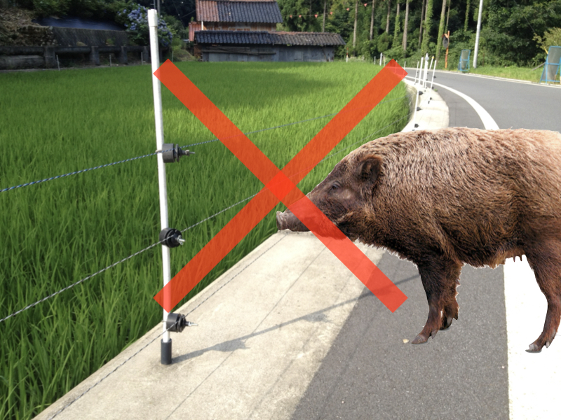 （写真） 電気柵を舗装路に設置してはダメ！